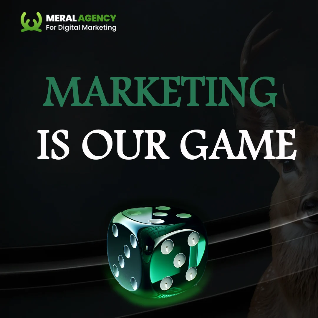 Meral Marketing A Leader in Digital Marketing